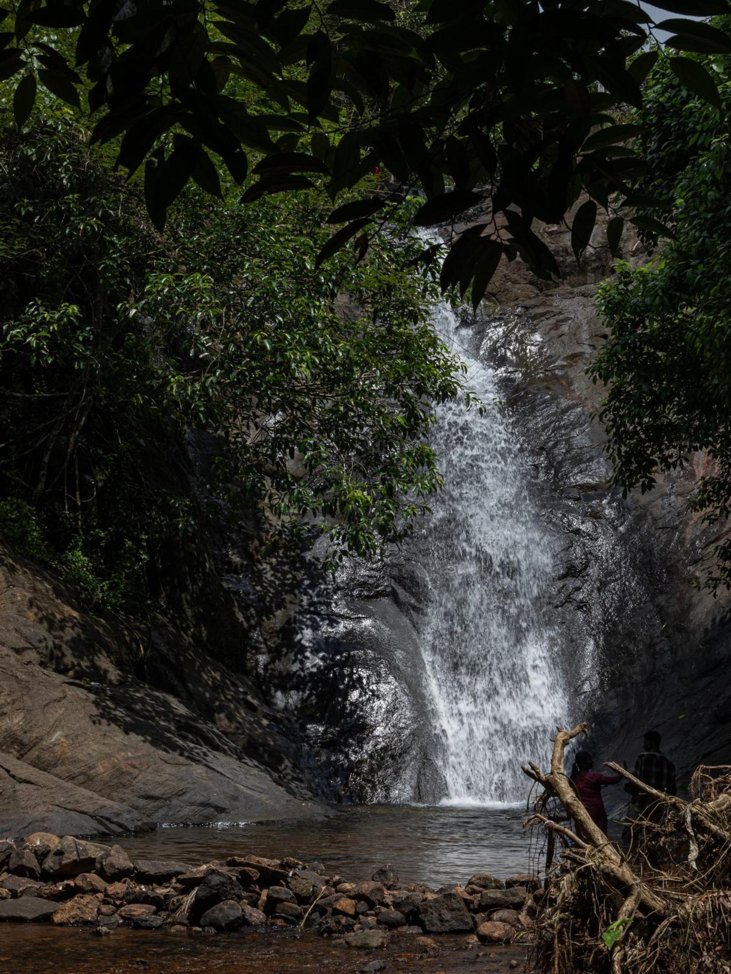 Aruvikuzhy Waterfalls Villa Kozhancheri Exteriör bild